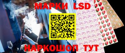 гидропоника Новозыбков