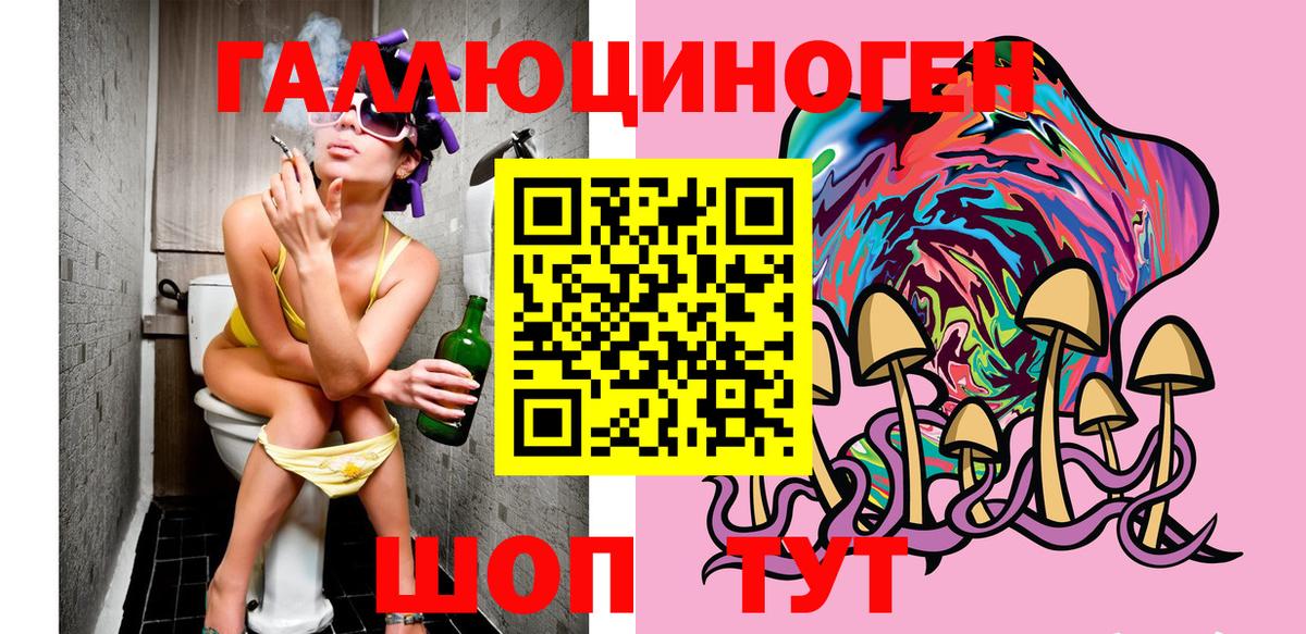 Псилоцибиновые грибы Psilocybine cubensis  Вход с VPN  Новотроицк 