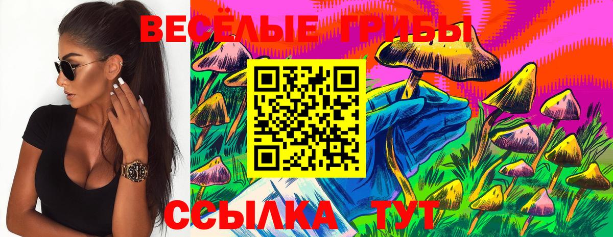 Псилоцибиновые грибы GOLDEN TEACHER Новотроицк